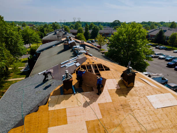 Roof Gutter Cleaning in Woodville, WI