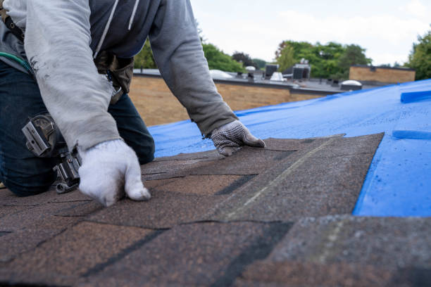 Best Tile Roofing Contractor  in Woodville, WI