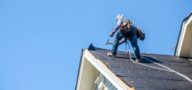 Best Roof Waterproofing Services  in Woodville, WI